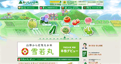 Desktop Screenshot of nmai.org